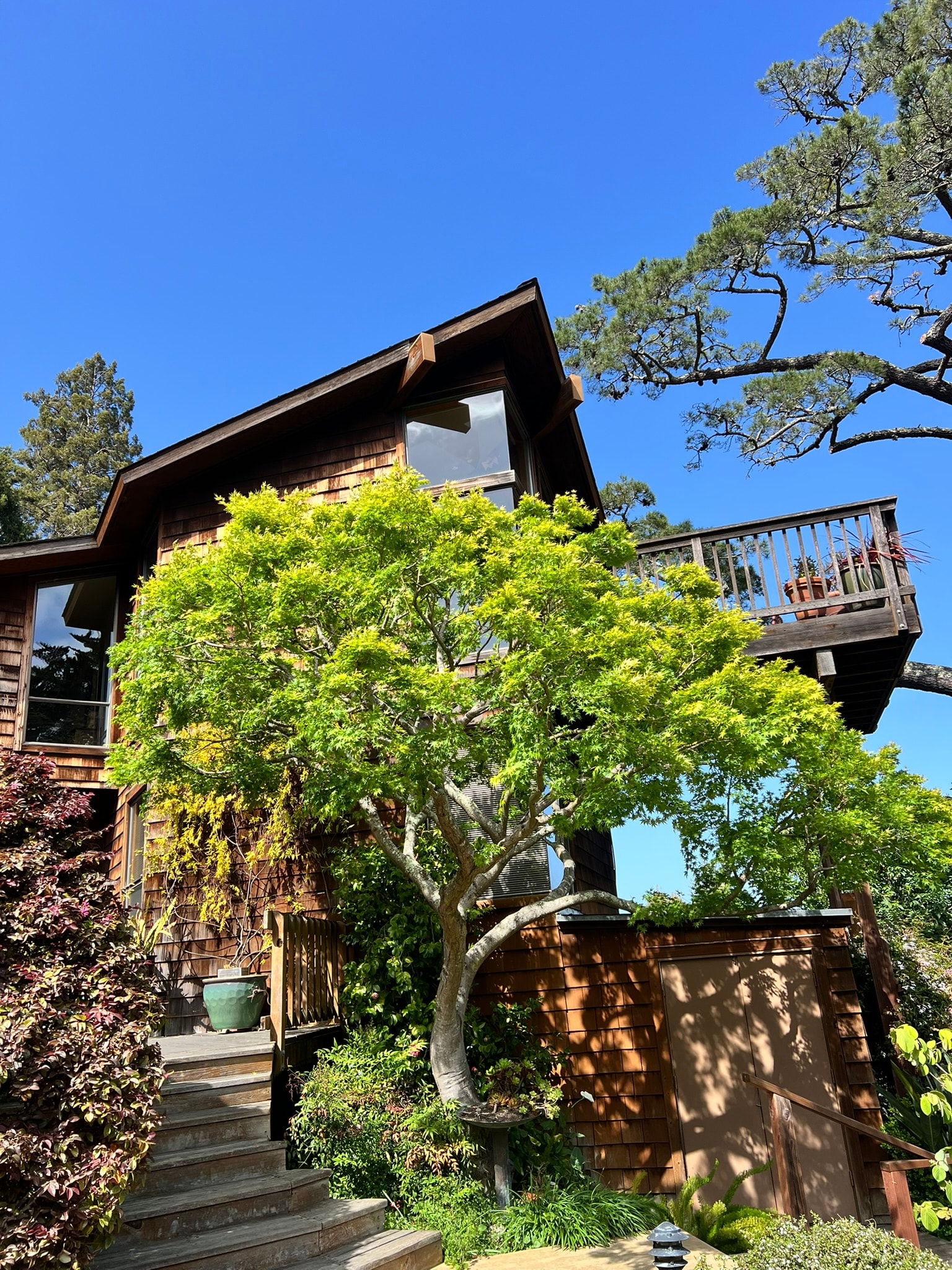 Structural Pruning